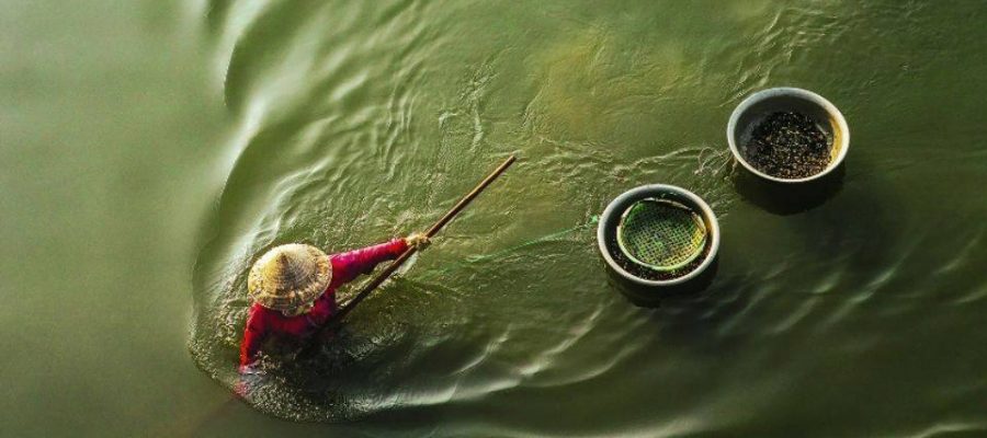 SongTraFoodPicture37